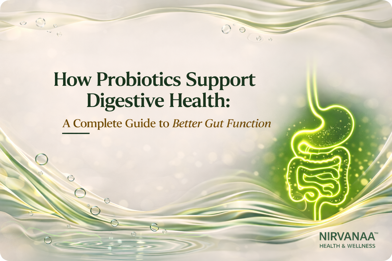 How Probiotics Support Digestive Health: A Complete Guide to Better Gut Function