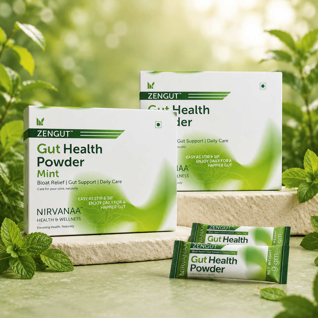 ZENGUT Gut Health Powder | 2 Billion CFU Probiotics + Prebiotics with Inulin | Aloe Vera & Ginger for Bloating, Gas & Digestion | Mint Flavour | 100% Veg | 60 Sachets