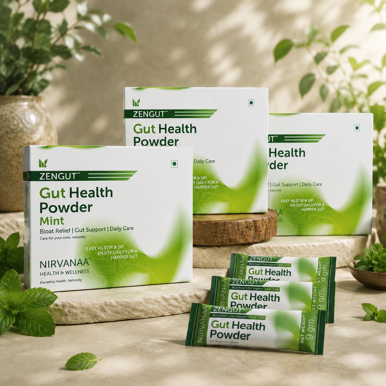 ZENGUT Gut Health Powder | 2 Billion CFU Probiotics + Prebiotics with Inulin | Aloe Vera & Ginger for Bloating, Gas & Digestion | Mint Flavour | 100% Veg | 90 Sachets